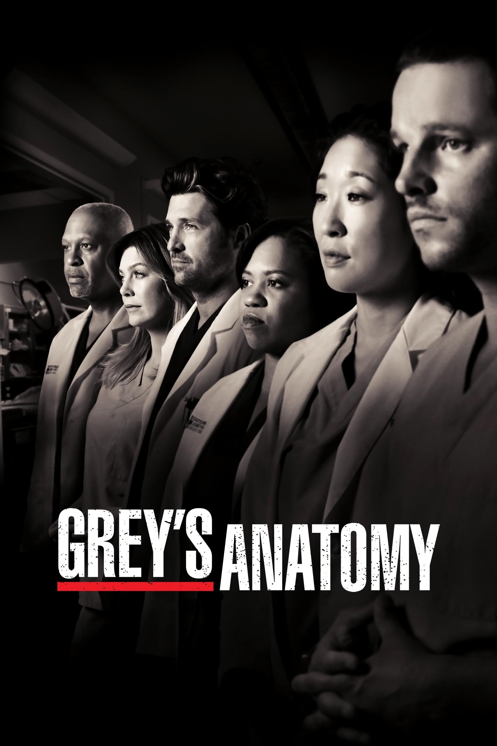 Grey's Anatomy - Season 7 [13716] (A1763984339) [[Shows]] --Plex--
